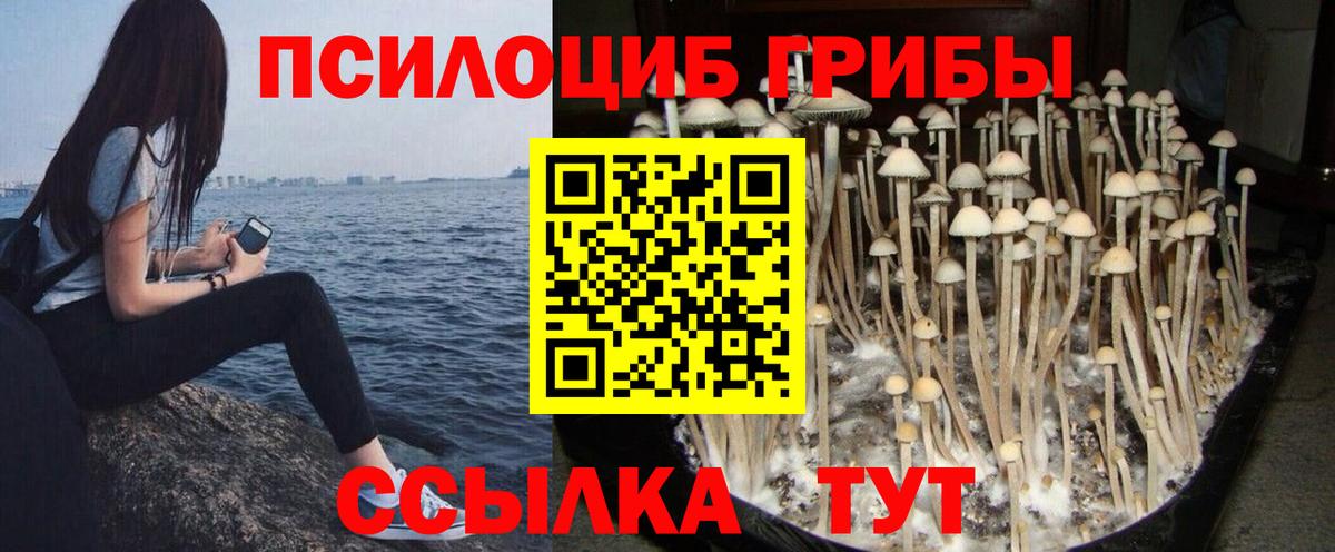 Псилоцибиновые грибы ЛСД Вышний Волочёк