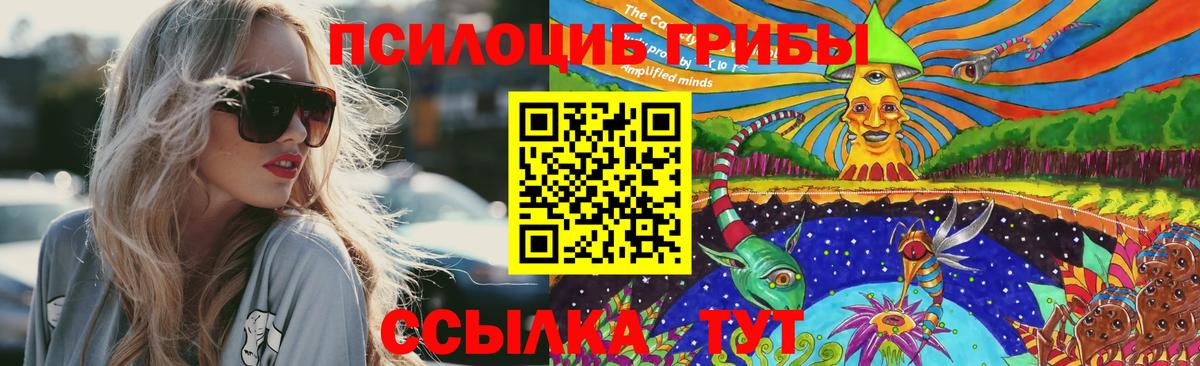 Псилоцибиновые грибы ЛСД  Вход с VPN  Вышний Волочёк 