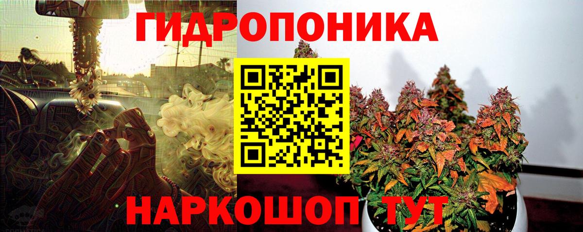 Бошки марихуана White Widow  Канабис AK-47  Вышний Волочёк  Вход с VPN  Бошки Шишки White Widow 